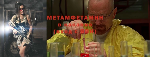 прущие грибы Дмитров