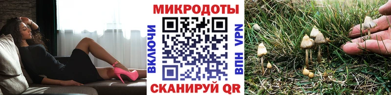 Псилоцибиновые грибы GOLDEN TEACHER  где купить   Фролово 